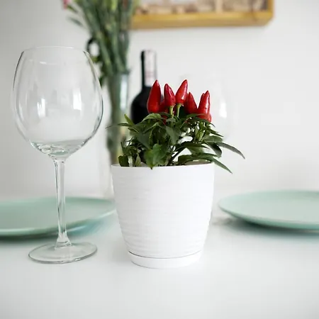 公寓 Vizzit Us Premium 华沙