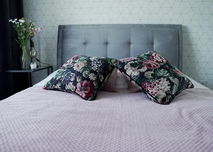 Vizzit Us Premium * Varşova