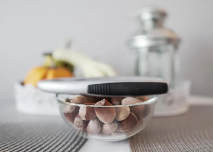 Daire Vizzit Us Premium *