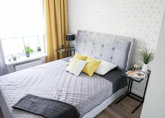 Daire Vizzit Us Premium