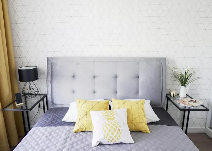 Daire Vizzit Us Premium *