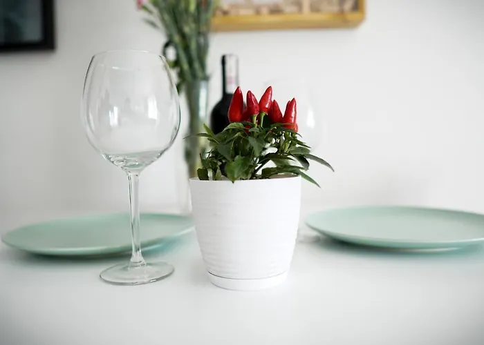 Daire Vizzit Us Premium Varşova