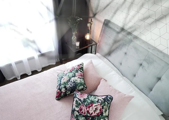 Daire Vizzit Us Premium